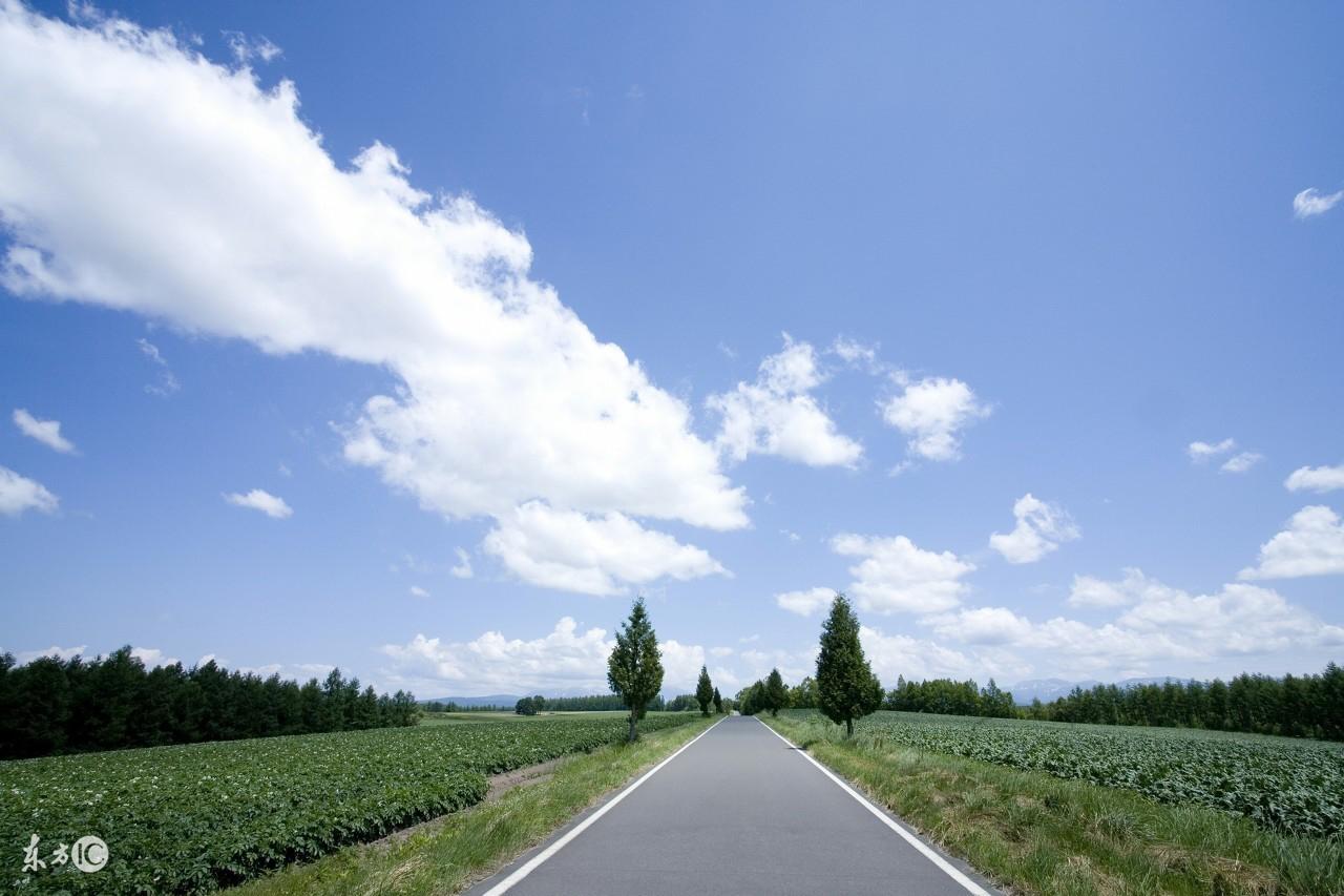 阴宅坐巳向亥兼巽乾水岀壬_阴宅坐巳兼亥山案例_己土坐亥水