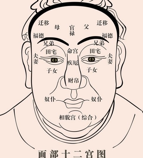 手相面相八字哪个更准_八字看人准还是面相准_八字和面相手相哪个准