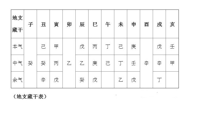 地支藏干的作用_午火地支藏干_地支藏干在命理中的作用