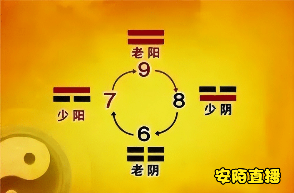 《周易》为什么用九代表阳，用六代表阴