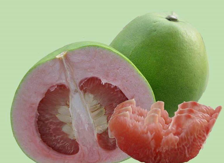 泰国青柚：原产曼谷的美味水果，栽培技术与施肥要点全解析