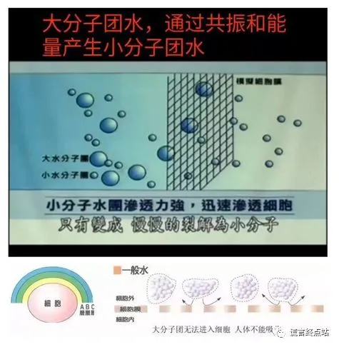 测试小分子团水_怎么制造小分子水_小分子水与肾衰