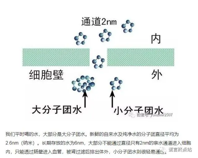 怎么制造小分子水_测试小分子团水_小分子水与肾衰