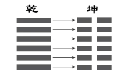 周易阳爻阴爻有哪些？怎么看是阴爻还是阳爻？