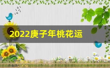 2022年生肖虎年势最旺的5大生肖女