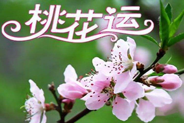 风水堂:八字命中带桃花的人