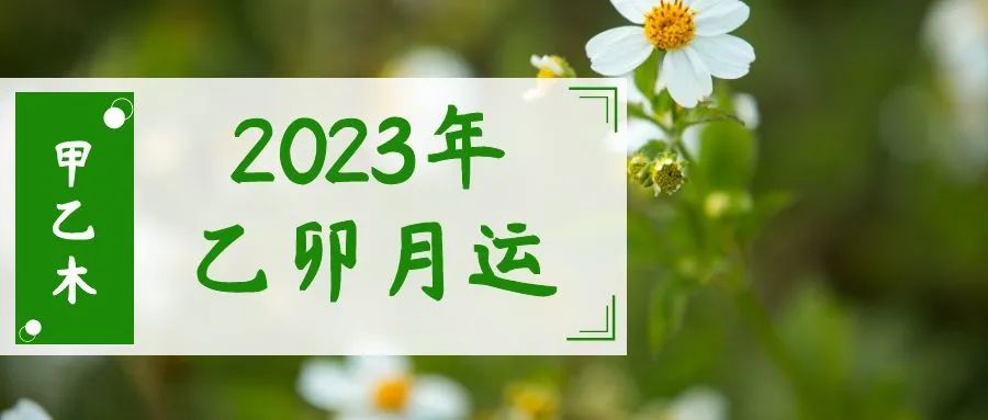 沅易德风水堂：你的人生剧本从阳历2023年