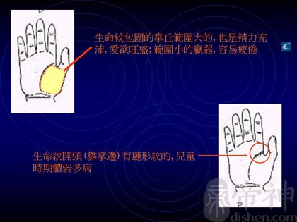 太阳线手相图解_女人手相财运线图解_手相太阳丘纹图解