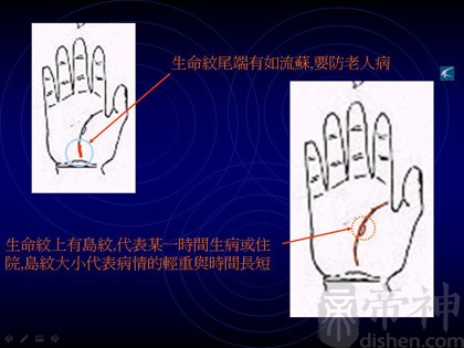 女人手相财运线图解_太阳线手相图解_手相太阳丘纹图解