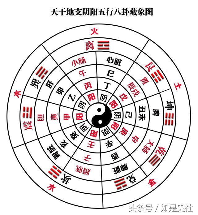 阳土阴土区别_数码管共阴共阳区别_八卦阳爻和阴爻的区别在哪