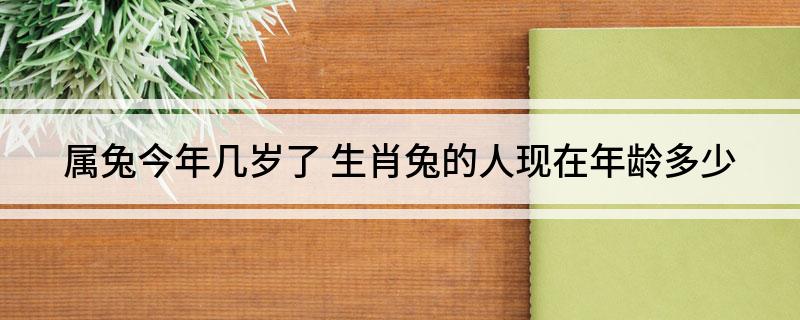 虎年龄对照表_大有卦 对应年龄_虎年年龄对照表