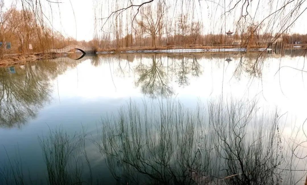 癸水和亥水哪个旺_癸亥水是什么意思_亥水能帮癸水吗