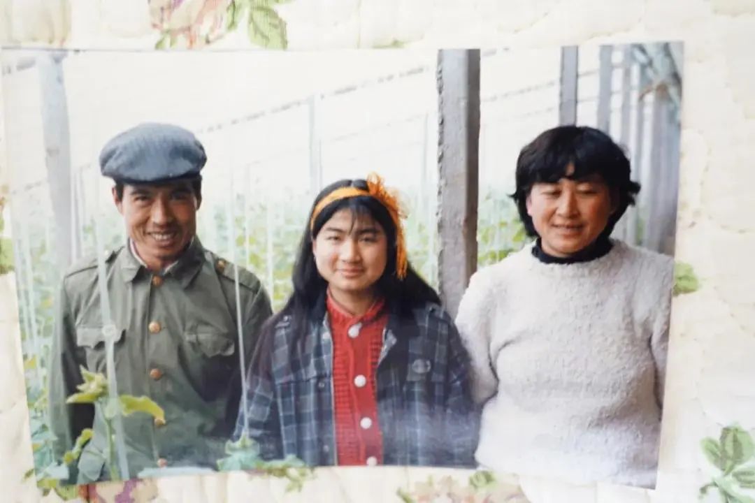 没有土怎么种蔬菜_蔬菜没有种子怎么种_蔬菜种没出土需要天天浇水吗