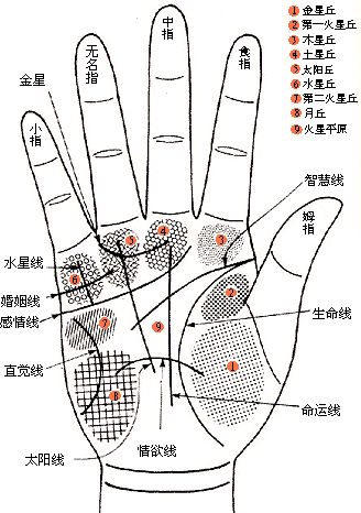 必然离婚的手相_闪婚闪离手相图解_手相图解离婚线