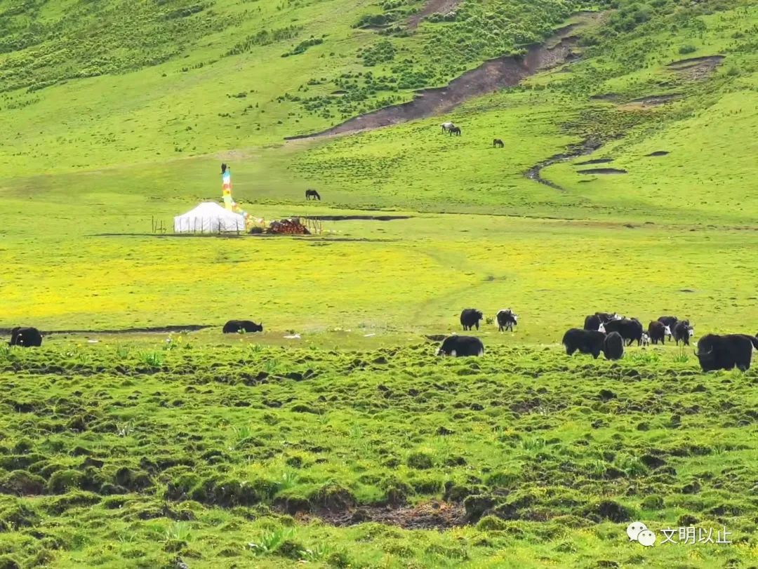 旅卦什么卦_火山旅卦测感情复合_卦旅歌词